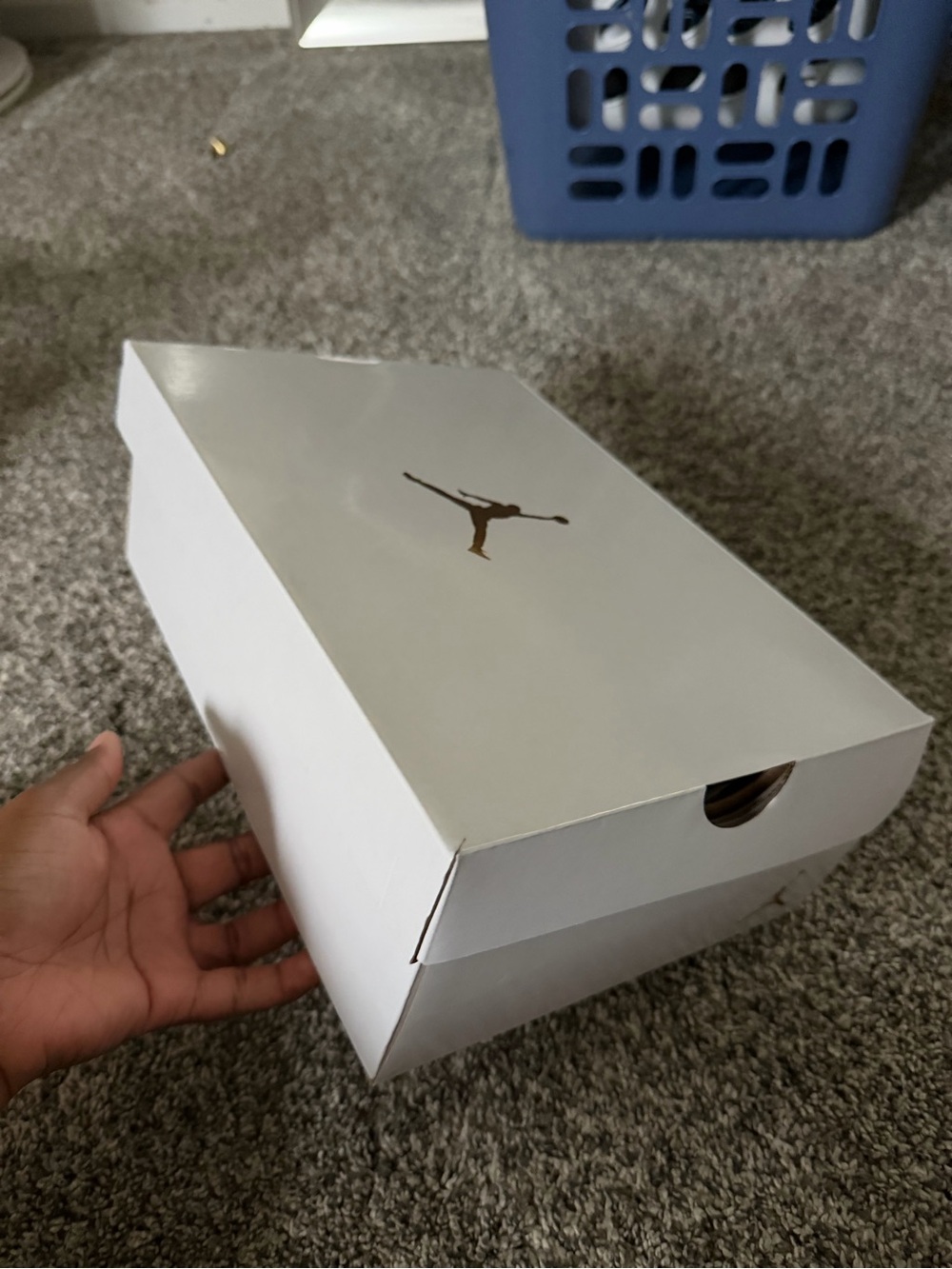 Women’s Air Jordan 11s Retro Low - Picture 9 of 9